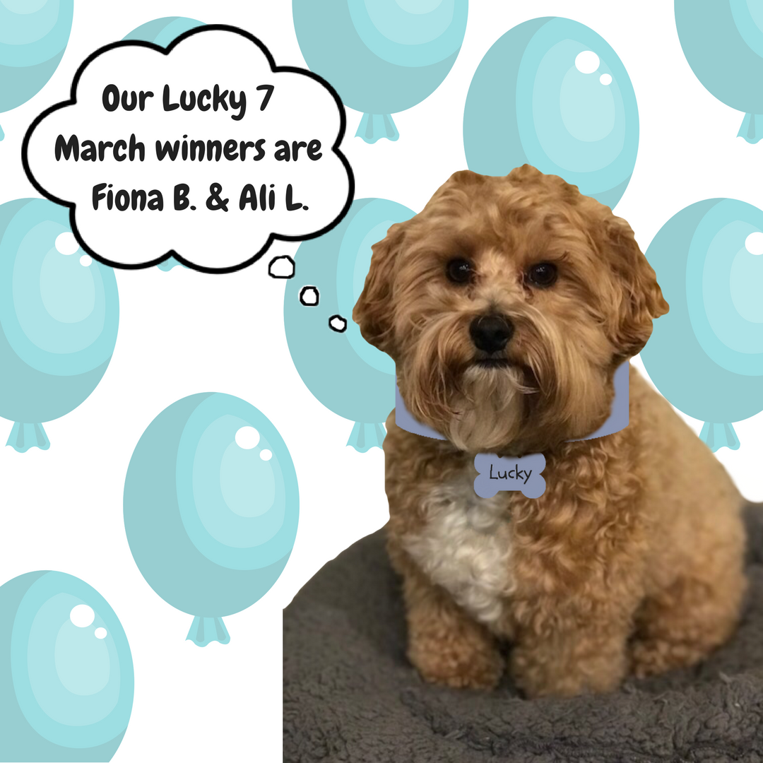 Our Lucky 7 March winners are